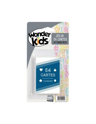 ETUI 54 CARTES PLASTIFIE